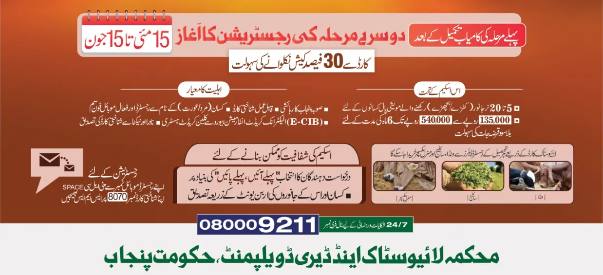 CM Punjab Loan Scheem for Livestock Phase 2