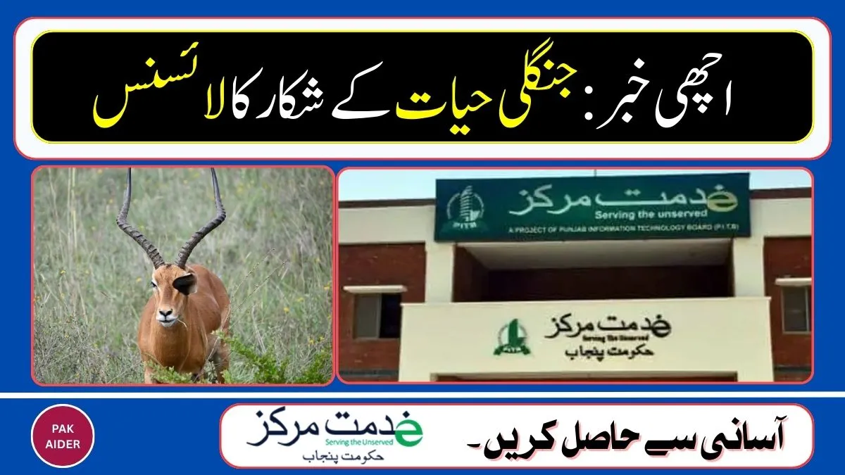 New Wildlife Service at e-Khidmat Markaz Punjab for Wildlife Hunting License